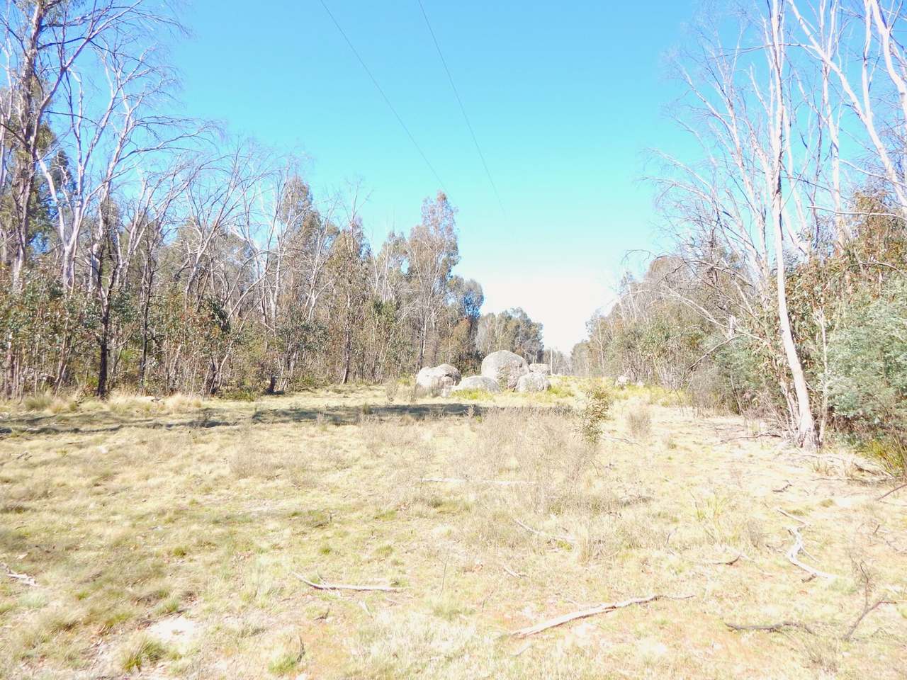 3758 Badja Road, Countegany Sold by Farmbuy.com - image 18