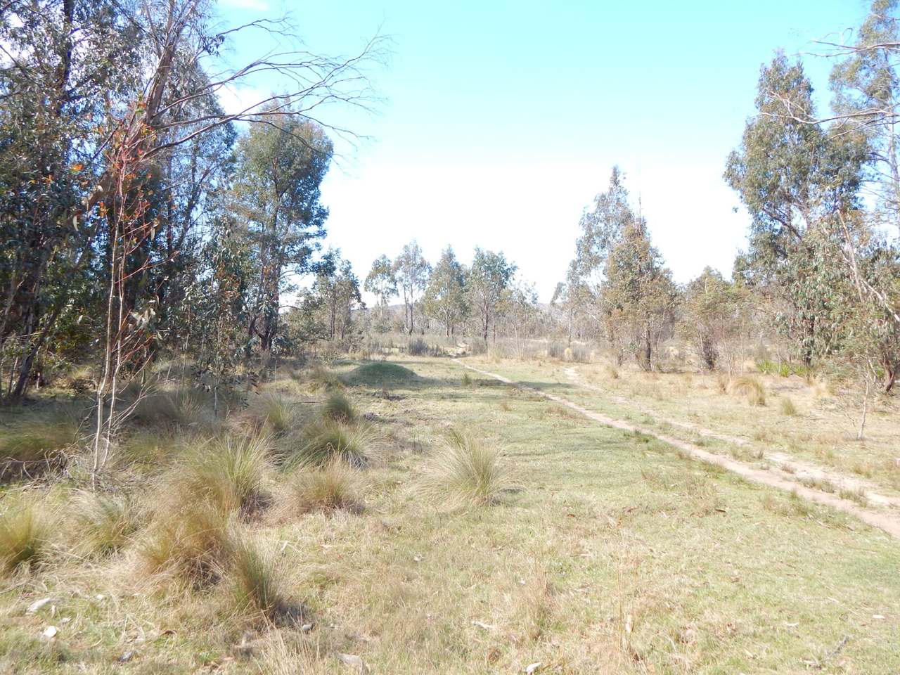 3758 Badja Road, Countegany Sold by Farmbuy.com - image 10