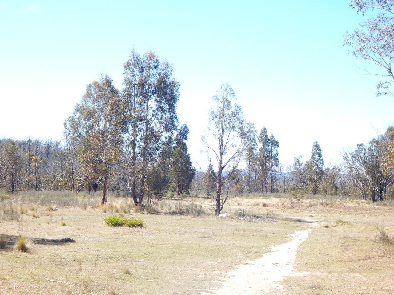 3758 Badja Road, Countegany Sold by Farmbuy.com - image 11