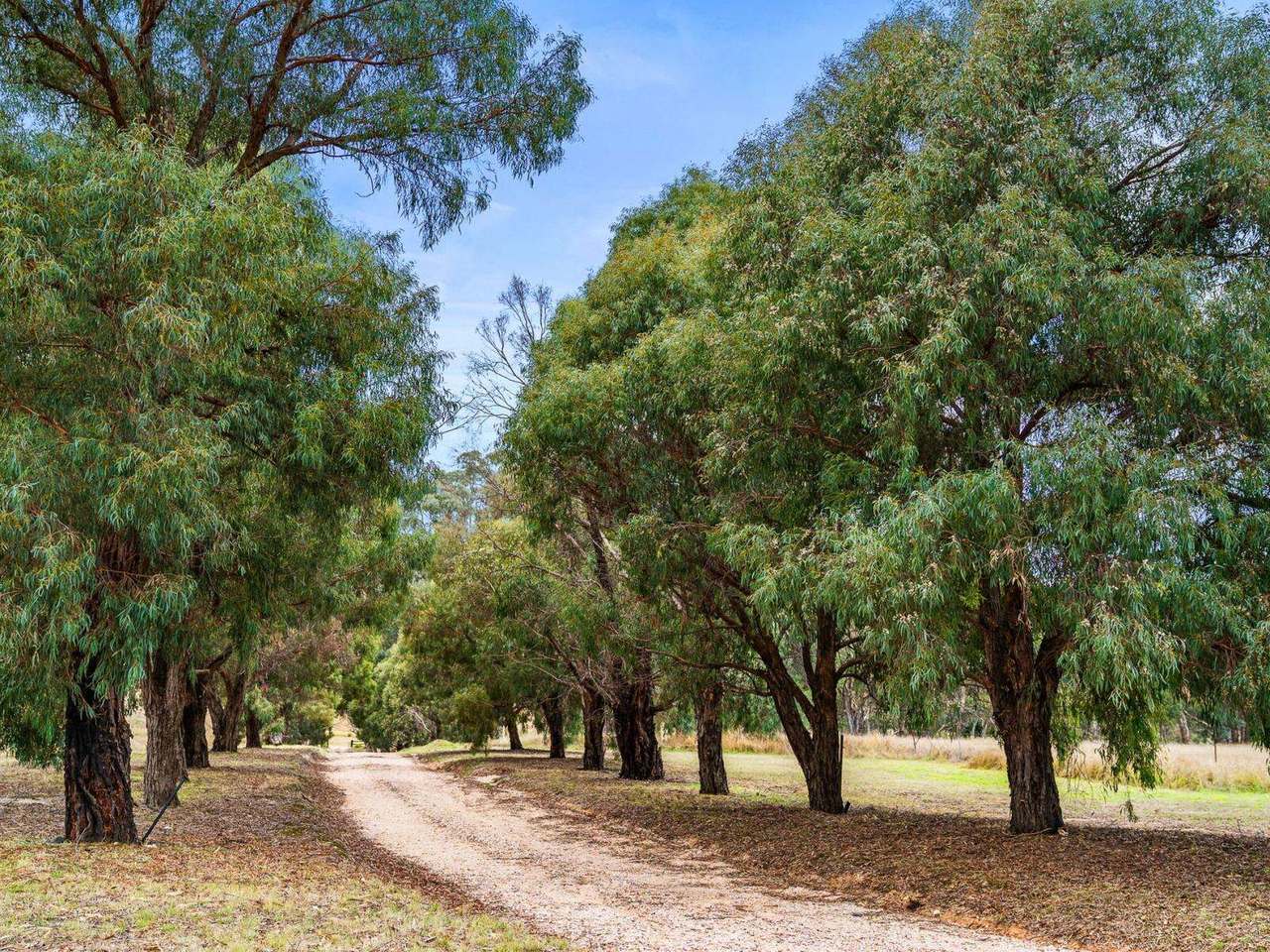 586 Bulgas Road, Emu Swamp For Sale by Farmbuy.com - image 2
