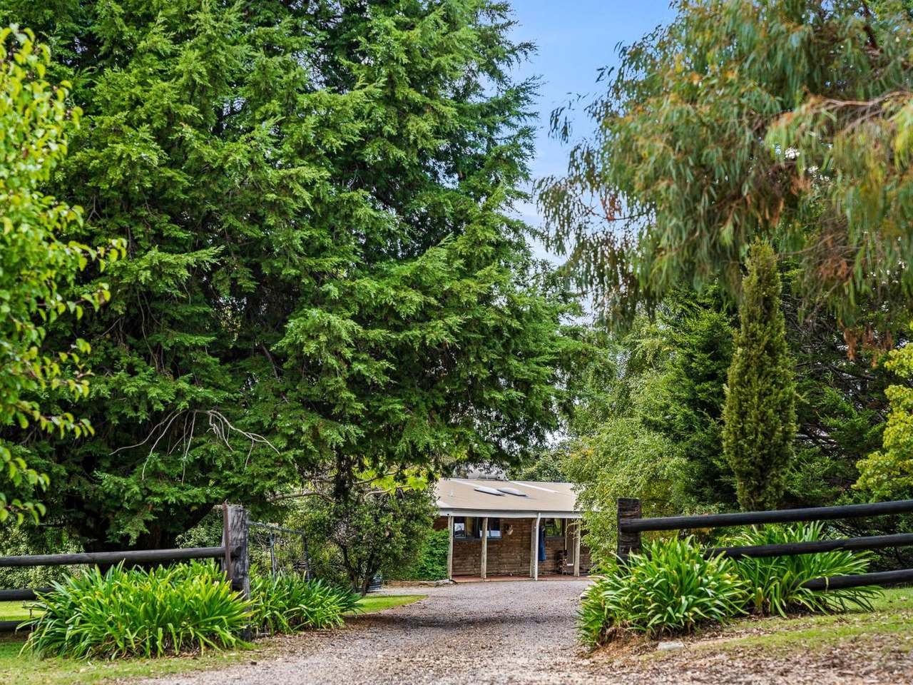 586 Bulgas Road, Emu Swamp For Sale by Farmbuy.com - image 5