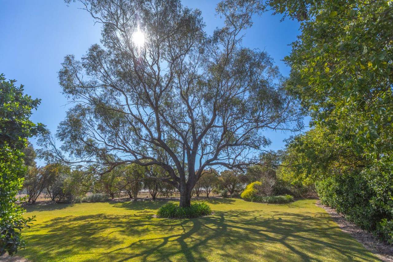 2283 Old Narrabri Road, Narrabri Sold by Farmbuy.com - image 30