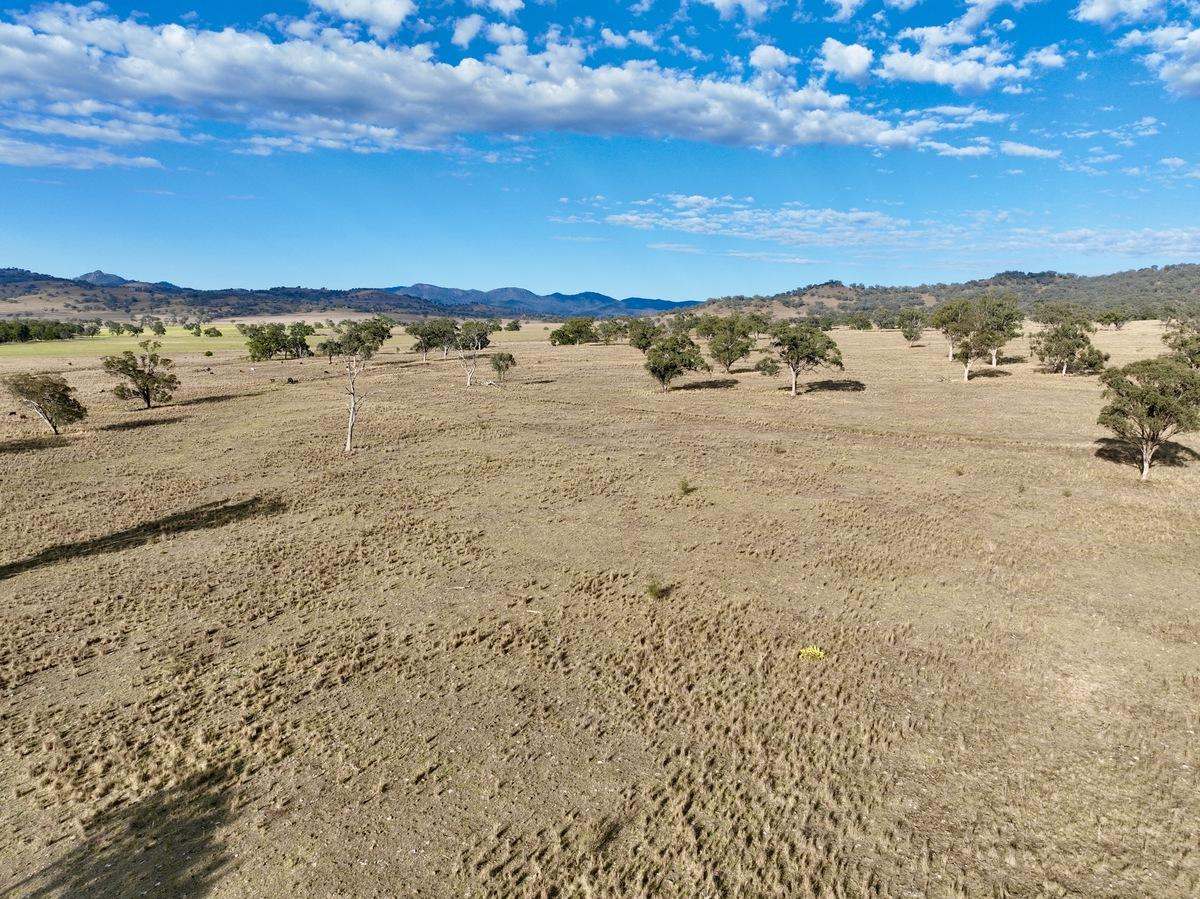 "Tallawang" 358 Cattle Creek Road, Parraweena  Auction by Farmbuy.com - image 7