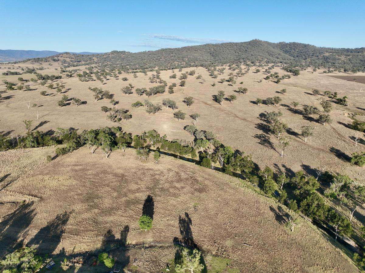 "Tallawang" 358 Cattle Creek Road, Parraweena  Auction by Farmbuy.com - image 5