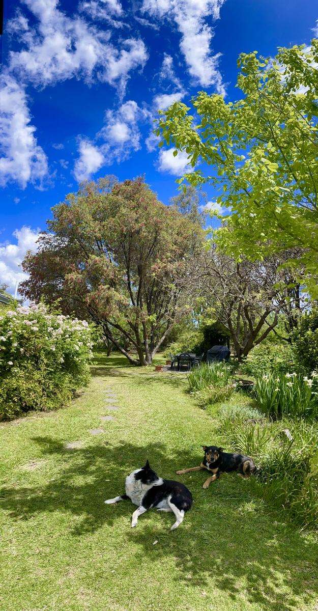 "Tallawang" 358 Cattle Creek Road, Parraweena  Auction by Farmbuy.com - image 27