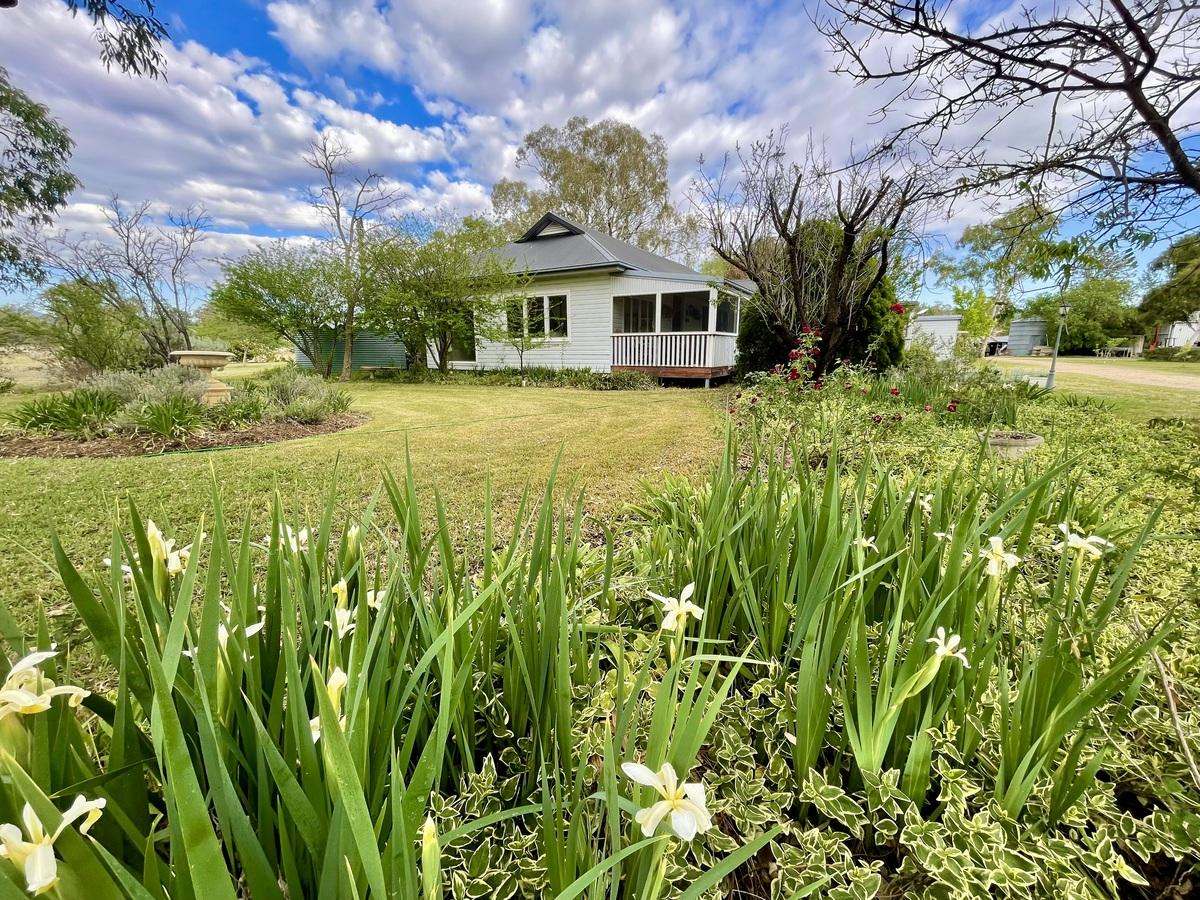 "Tallawang" 358 Cattle Creek Road, Parraweena  Auction by Farmbuy.com - image 10