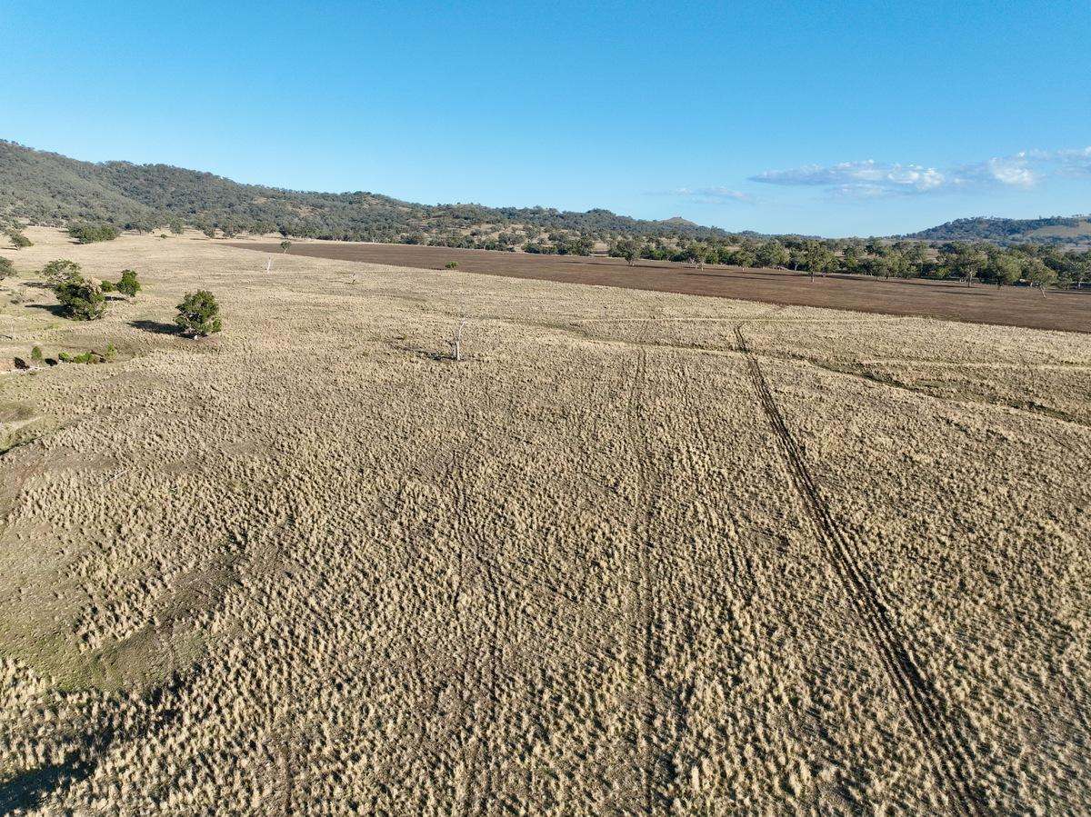 "Tallawang" 358 Cattle Creek Road, Parraweena  Auction by Farmbuy.com - image 3