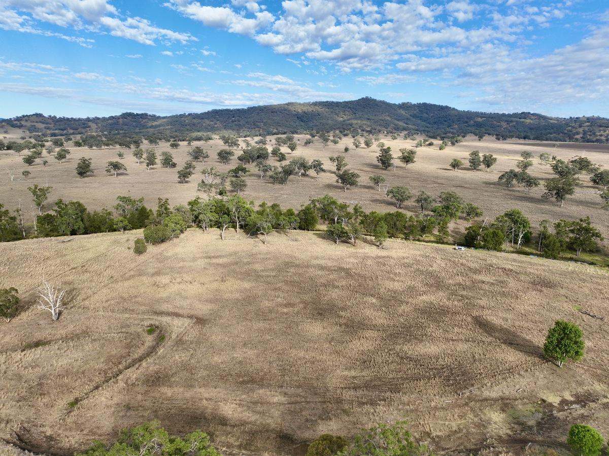 "Tallawang" 358 Cattle Creek Road, Parraweena  Auction by Farmbuy.com - image 2