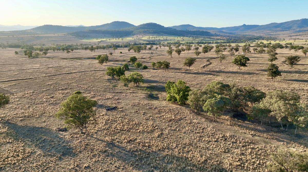 "Tallawang" 358 Cattle Creek Road, Parraweena  Auction by Farmbuy.com - image 6