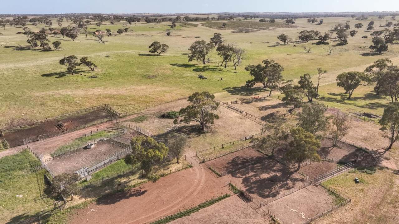 2702 Minnie Crowe Road, KEILIRA  Sold by Farmbuy.com - image 26