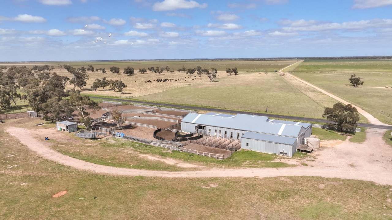 2702 Minnie Crowe Road, KEILIRA  Sold by Farmbuy.com - image 15