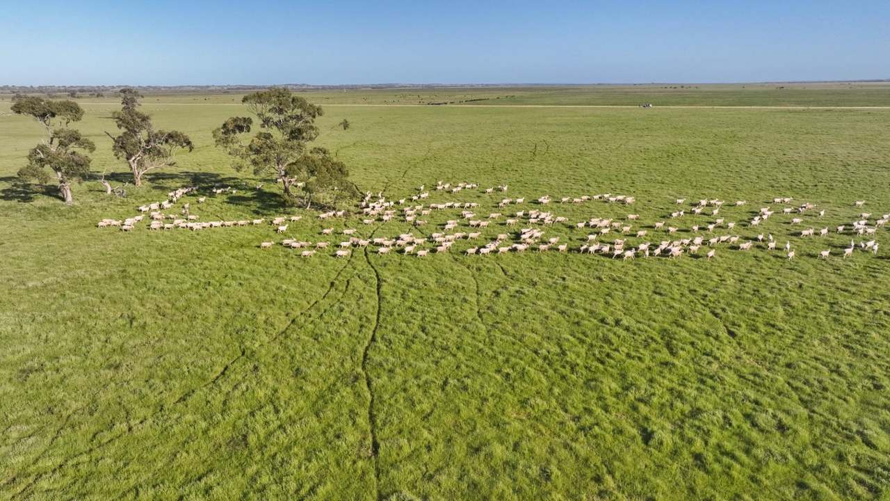 2702 Minnie Crowe Road, KEILIRA  Sold by Farmbuy.com - image 24