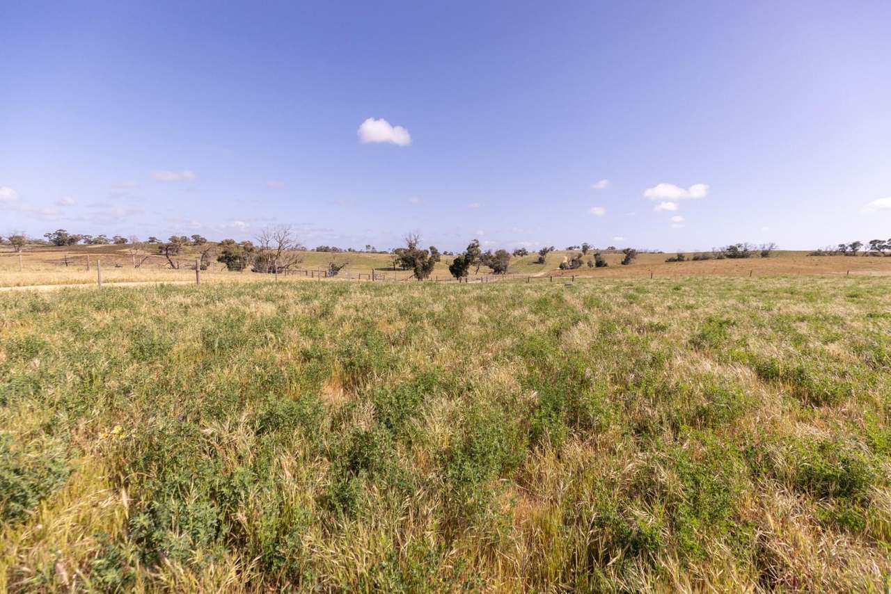 2702 Minnie Crowe Road, KEILIRA  Sold by Farmbuy.com - image 35