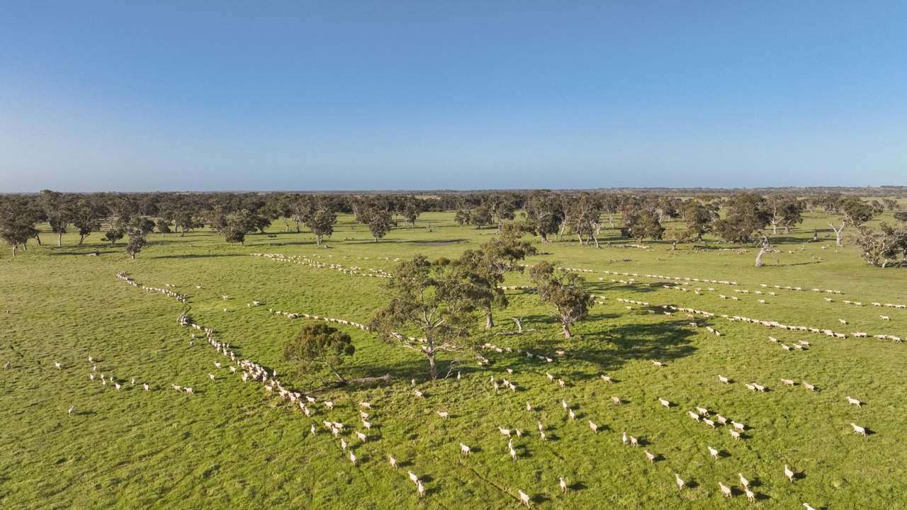 2702 Minnie Crowe Road, KEILIRA  Sold by Farmbuy.com - image 12