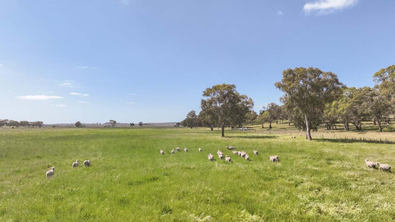 2702 Minnie Crowe Road, KEILIRA  Sold by Farmbuy.com - image 34