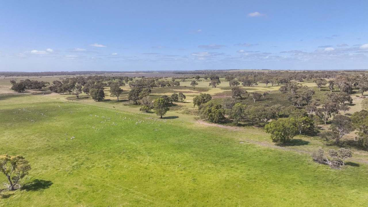 2702 Minnie Crowe Road, KEILIRA  Sold by Farmbuy.com - image 33