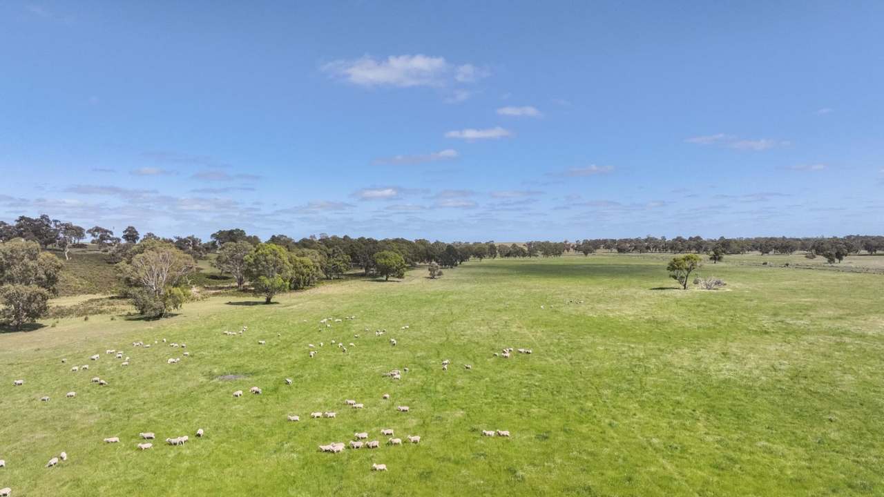 2702 Minnie Crowe Road, KEILIRA  Sold by Farmbuy.com - image 36