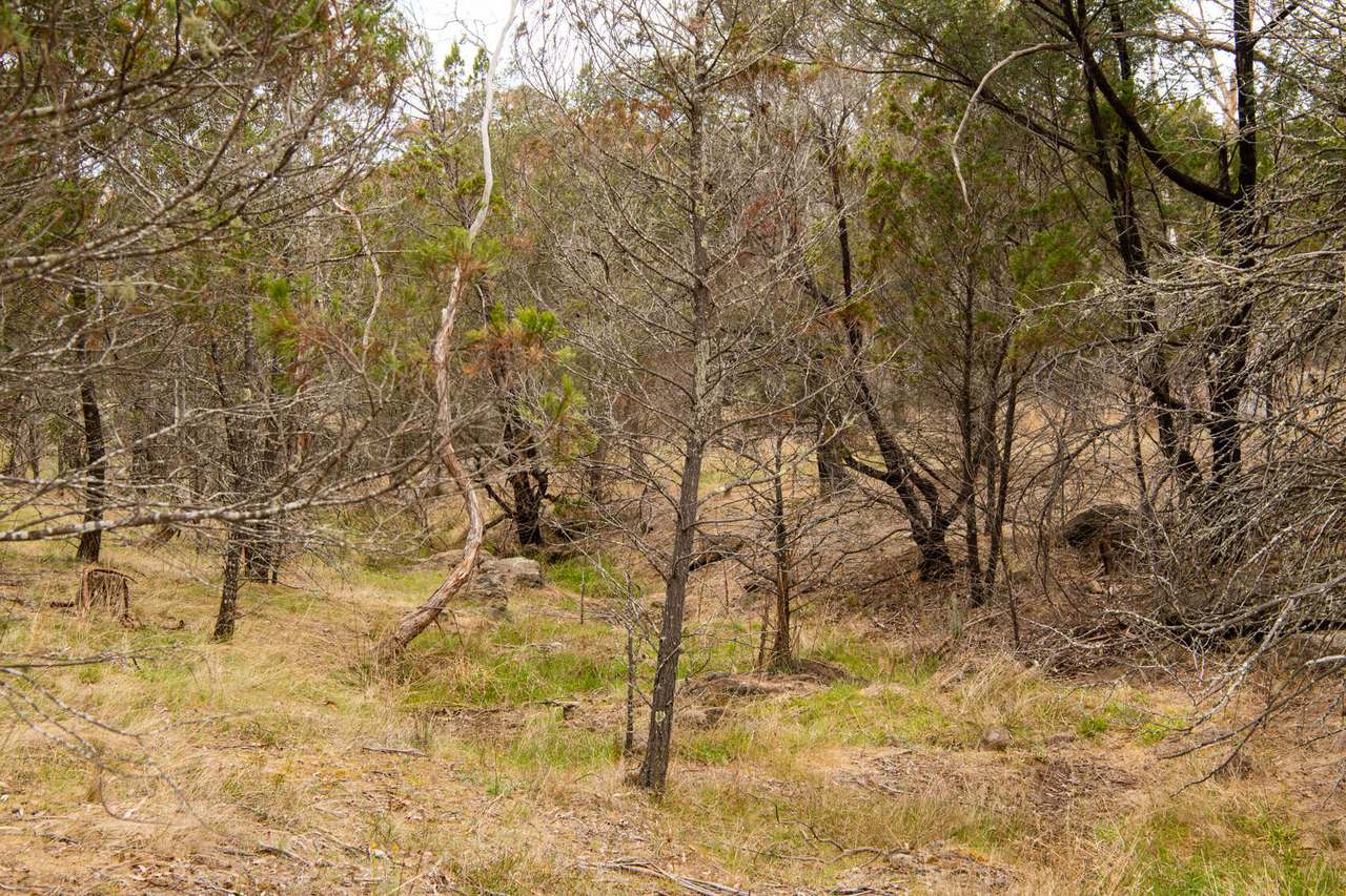 Lot 2 Chapman Street, Cooma Sold by Farmbuy.com - image 13