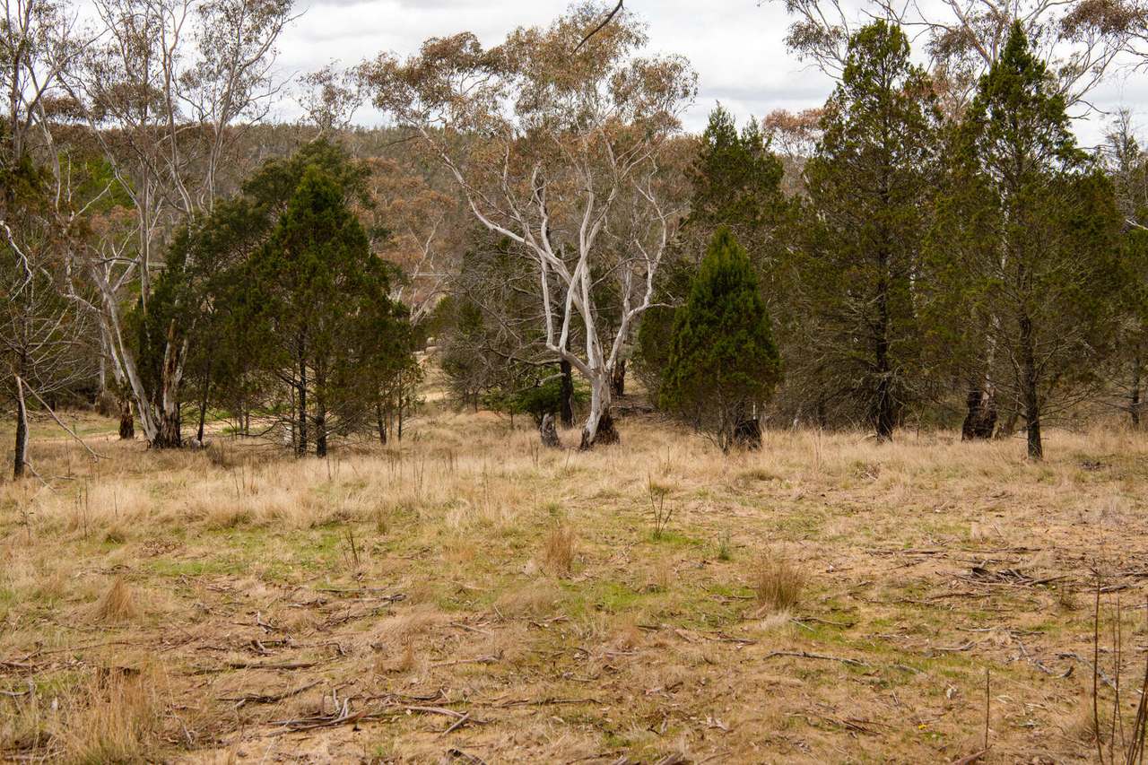 Lot 2 Chapman Street, Cooma Sold by Farmbuy.com - image 14