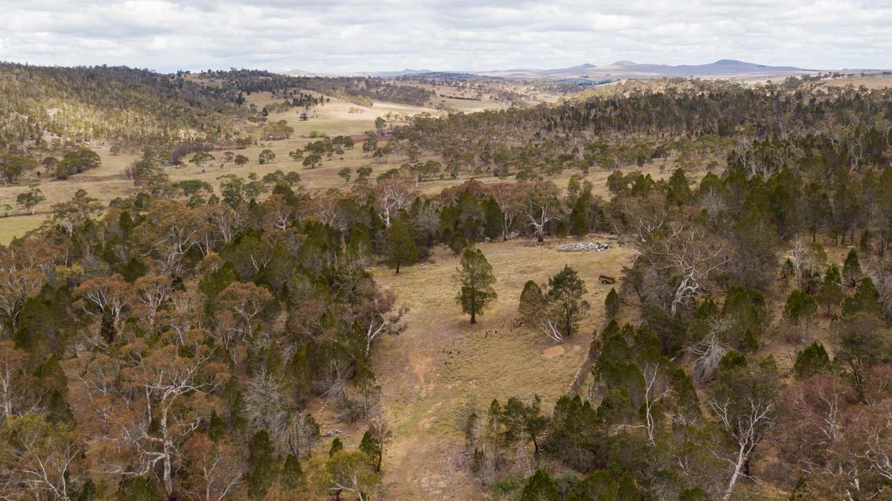 Lot 2 Chapman Street, Cooma Sold by Farmbuy.com - image 3