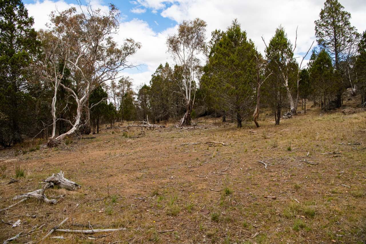 Lot 2 Chapman Street, Cooma Sold by Farmbuy.com - image 12