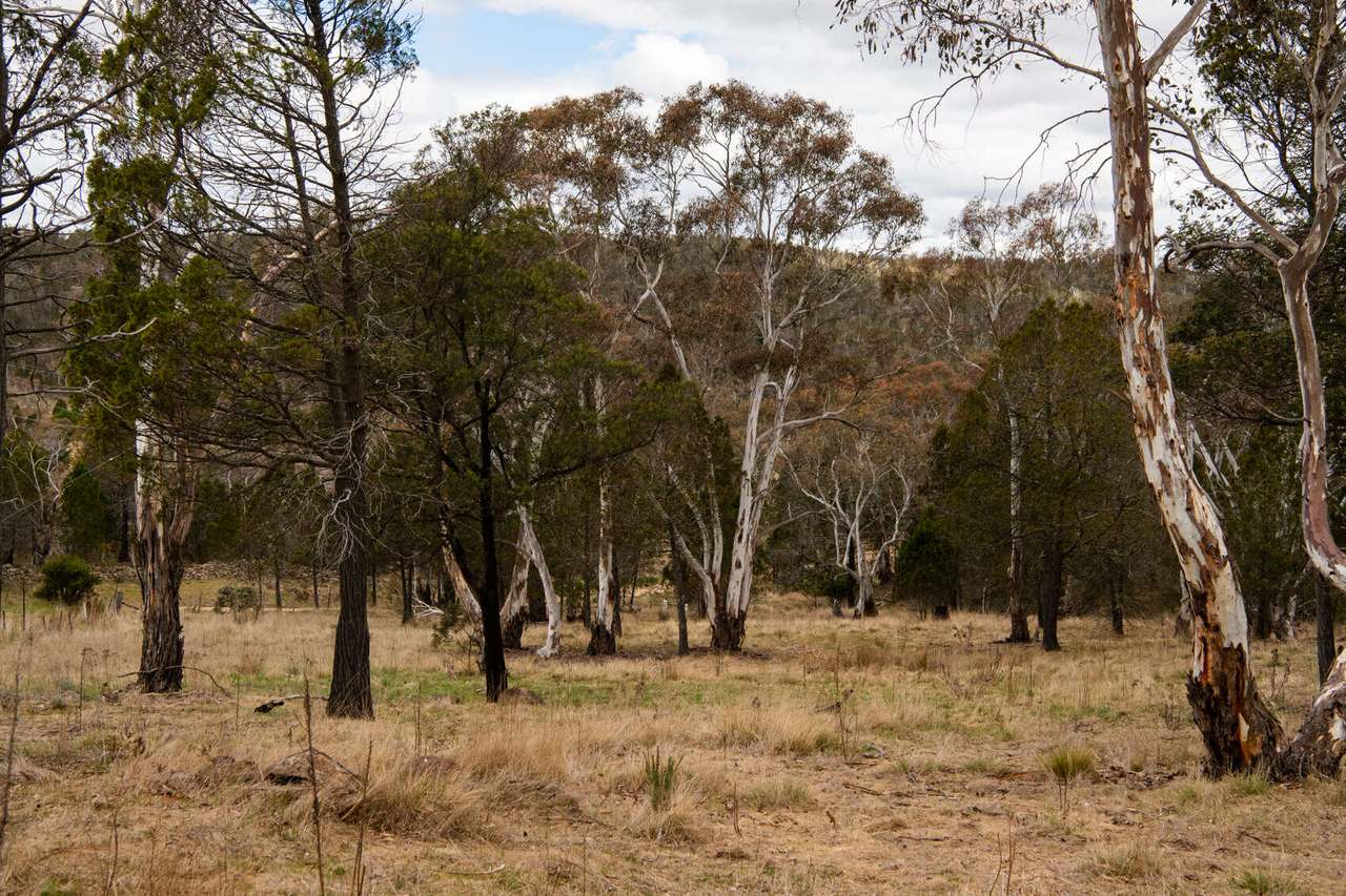 Lot 2 Chapman Street, Cooma Sold by Farmbuy.com - image 4