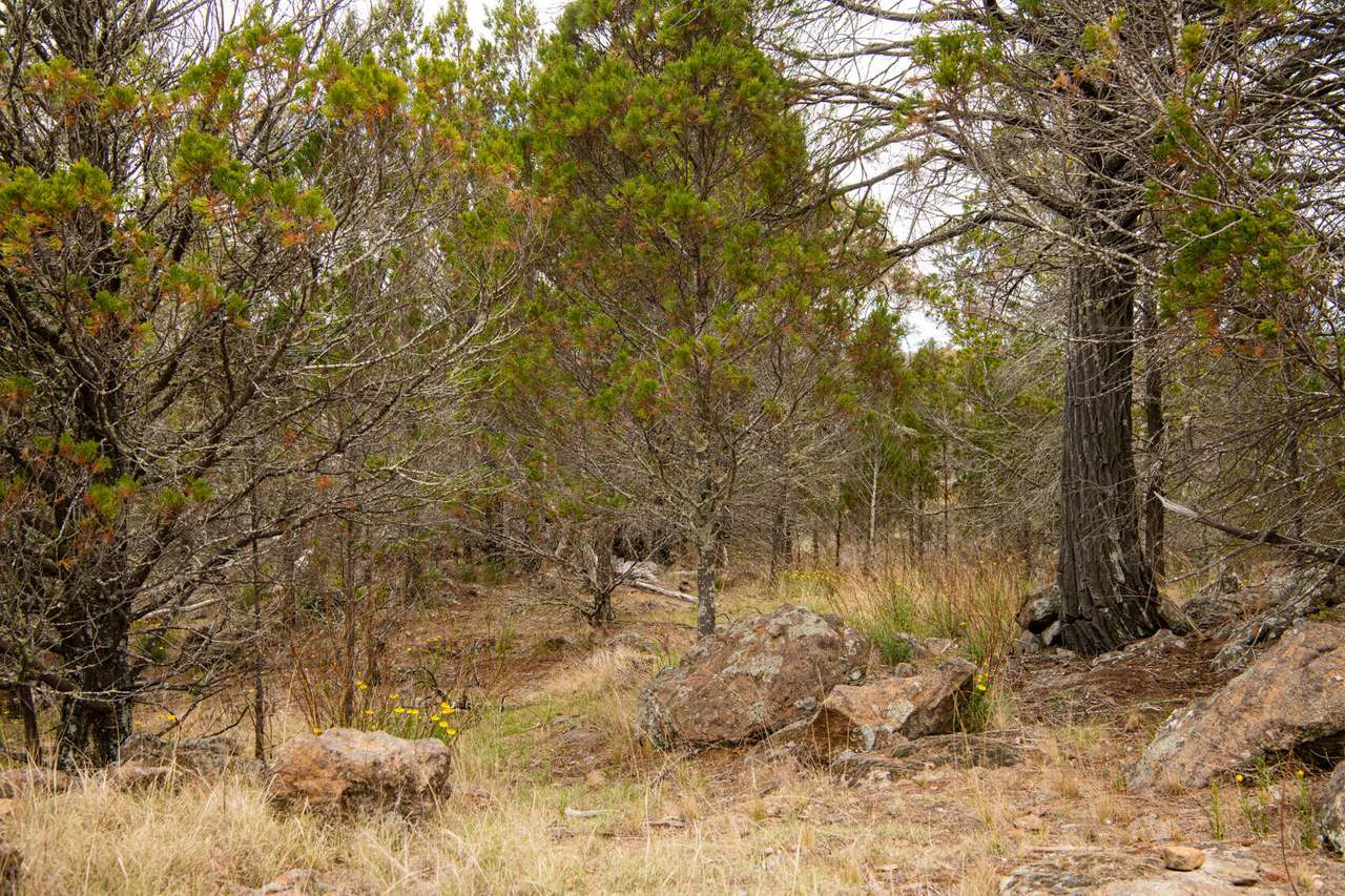Lot 2 Chapman Street, Cooma Sold by Farmbuy.com - image 11