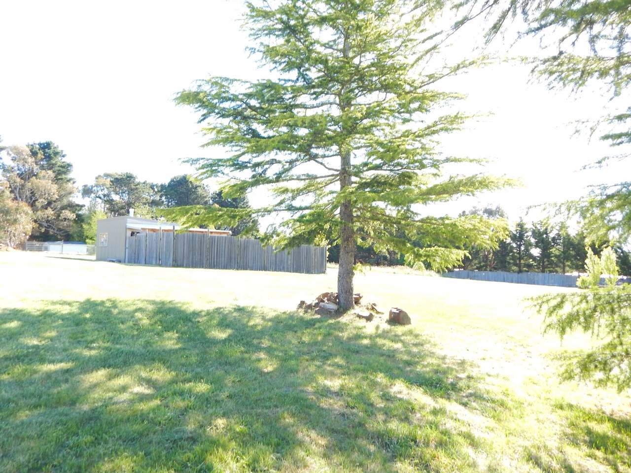 40 Kirke Street, Nimmitabel Sold by Farmbuy.com - image 8