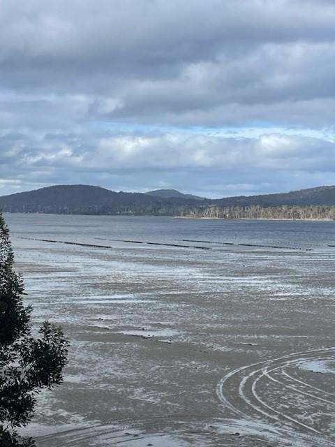 Sharps Road, South Bruny Sold by Farmbuy.com - image 20