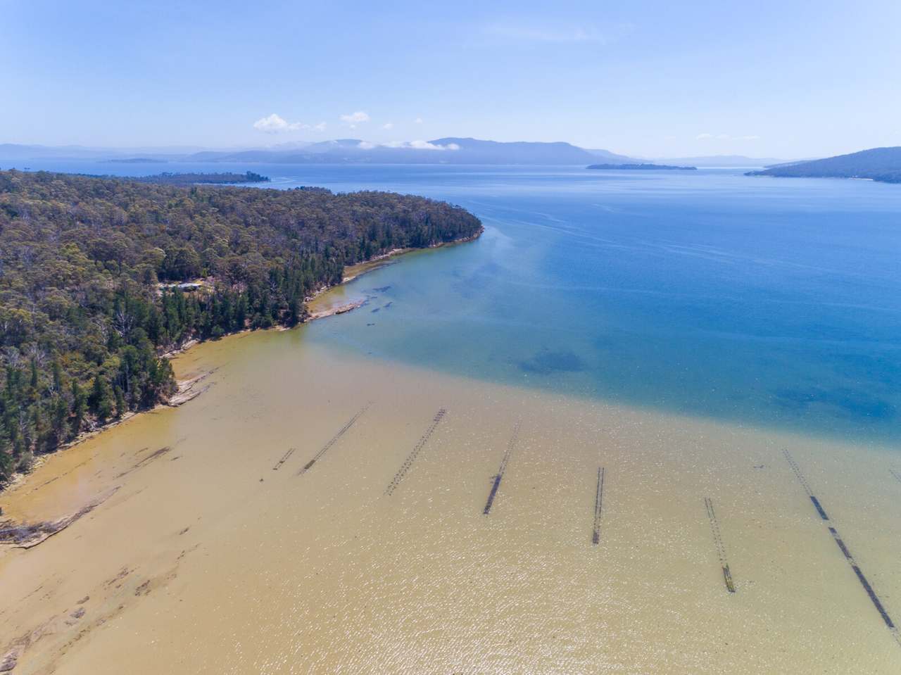 Sharps Road, South Bruny Sold by Farmbuy.com - image 4