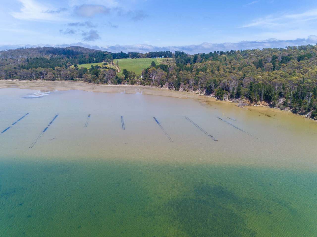 Sharps Road, South Bruny Sold by Farmbuy.com - image 12