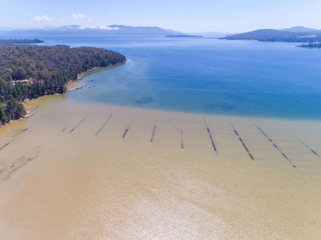 Sharps Road, South Bruny Sold by Farmbuy.com - image 8