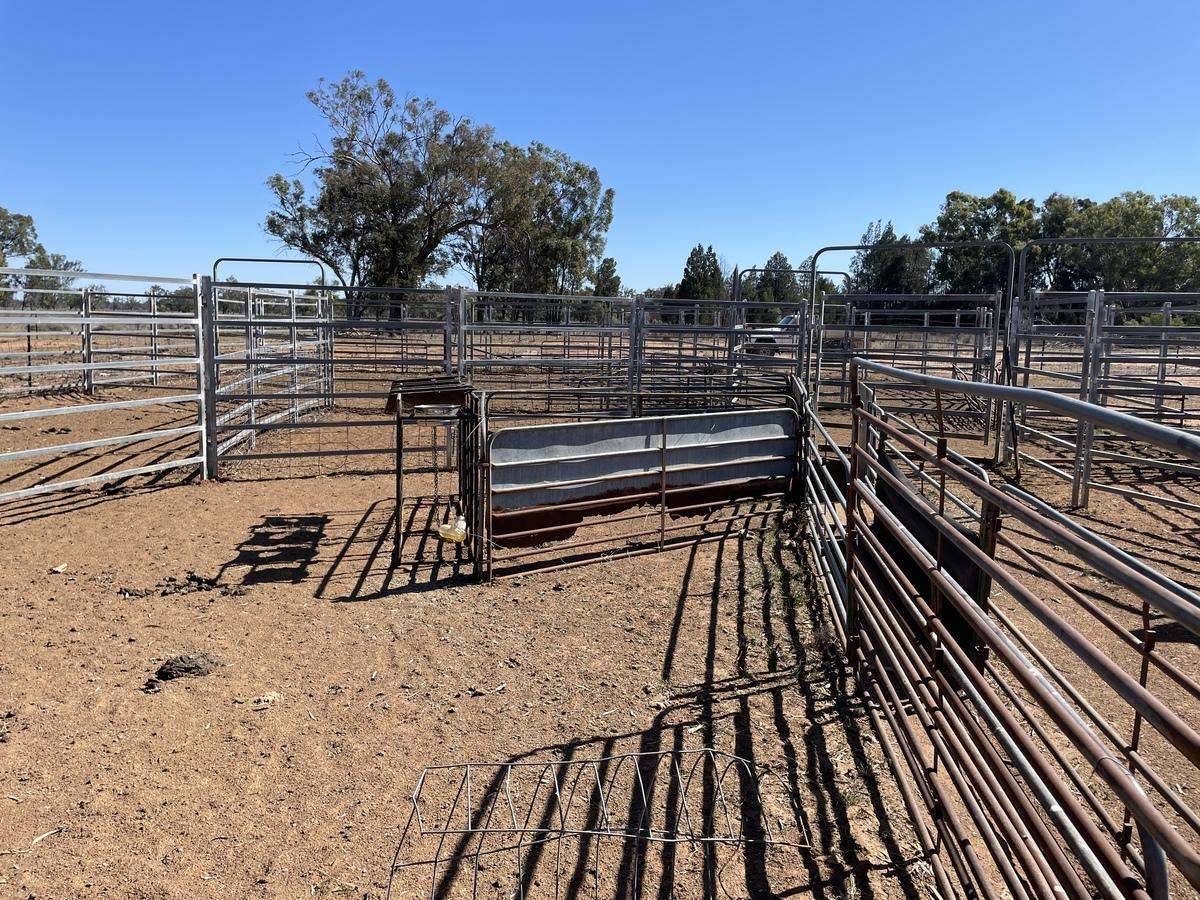3475 Kenebri Road, Kenebri For Sale by Farmbuy.com - image 5