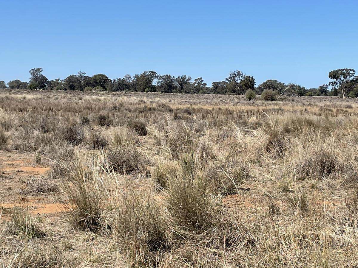 3475 Kenebri Road, Kenebri For Sale by Farmbuy.com - image 4