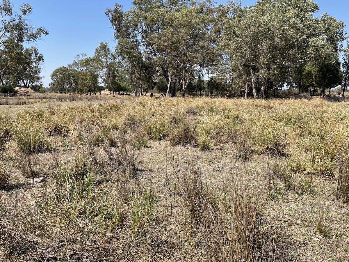 3475 Kenebri Road, Kenebri For Sale by Farmbuy.com - image 8