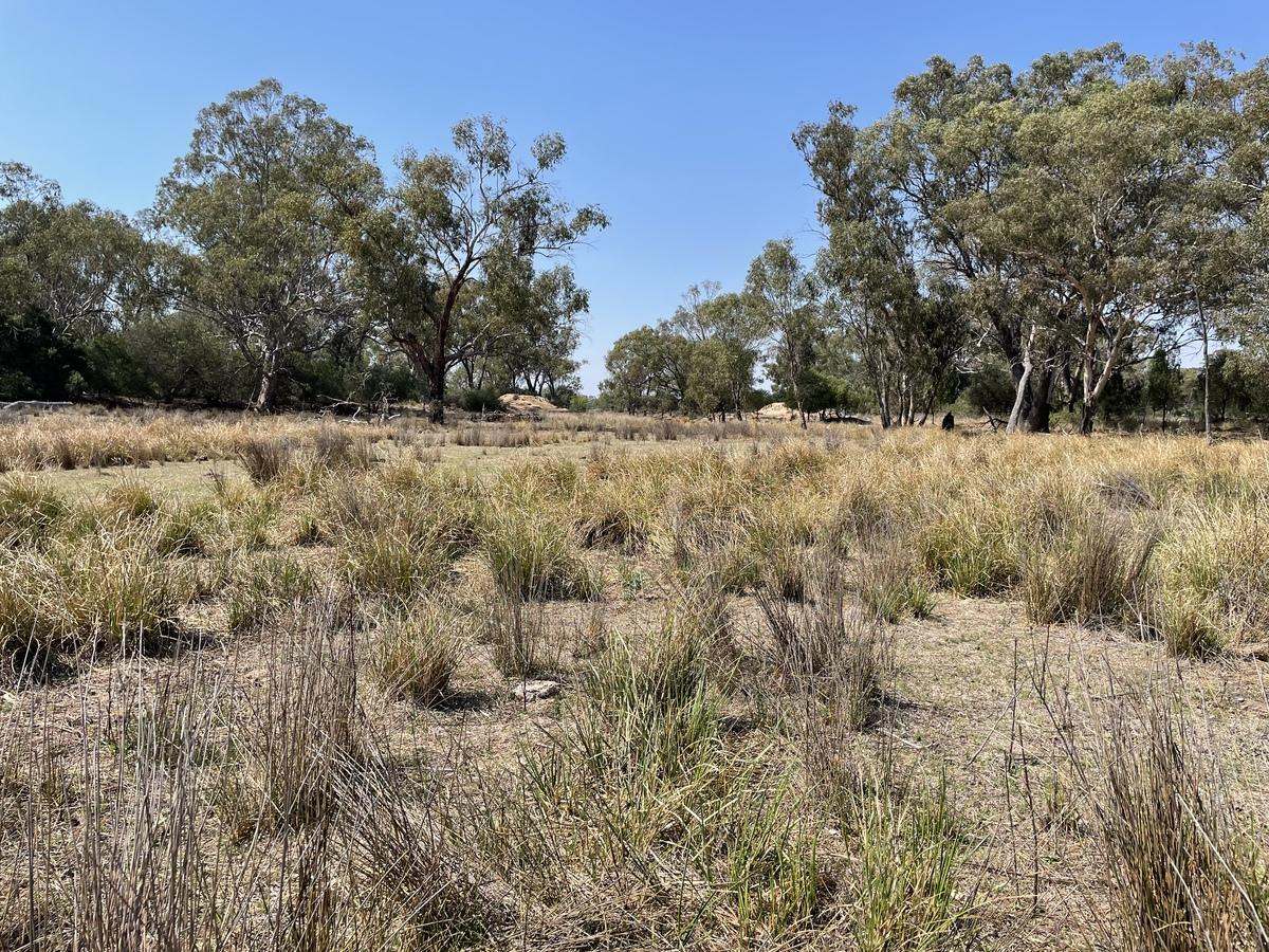 3475 Kenebri Road, Kenebri For Sale by Farmbuy.com - image 7
