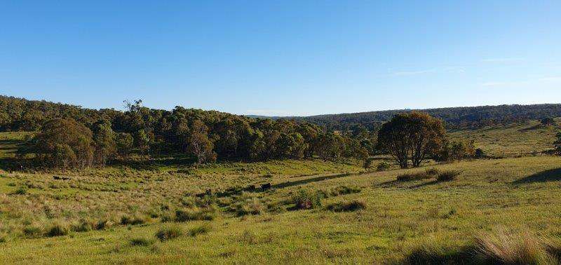 "Sawpit" 1530 Balgownie Road, Delegate Sold by Farmbuy.com - image 16
