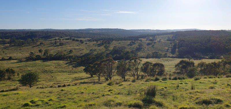 "Sawpit" 1530 Balgownie Road, Delegate Sold by Farmbuy.com - image 15