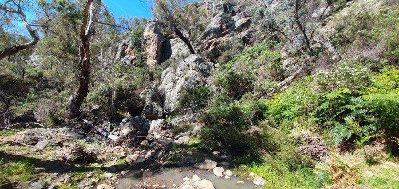 "Sawpit" 1530 Balgownie Road, Delegate Sold by Farmbuy.com - image 10