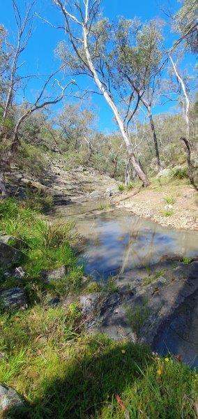 "Sawpit" 1530 Balgownie Road, Delegate Sold by Farmbuy.com - image 9