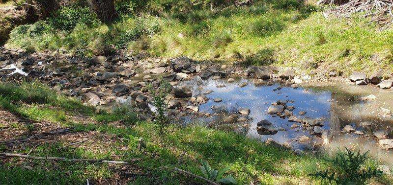 "Sawpit" 1530 Balgownie Road, Delegate Sold by Farmbuy.com - image 13