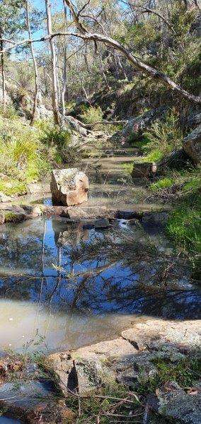 "Sawpit" 1530 Balgownie Road, Delegate Sold by Farmbuy.com - image 8