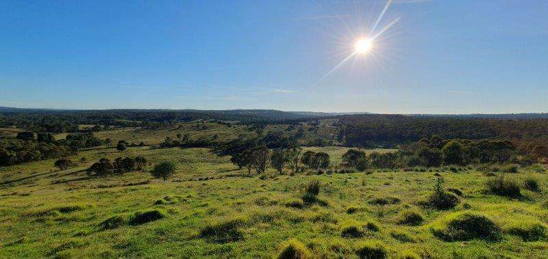 "Sawpit" 1530 Balgownie Road, Delegate Sold by Farmbuy.com - image 14