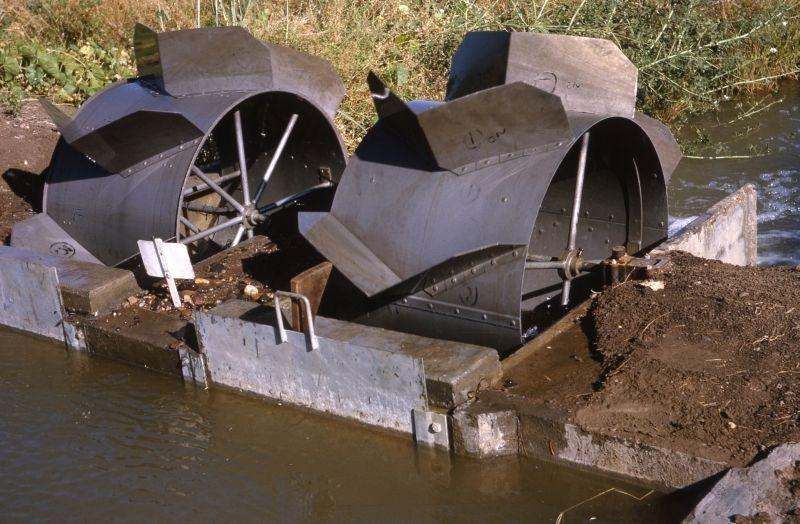 Balonne River, St George Auction by Farmbuy.com - image 2