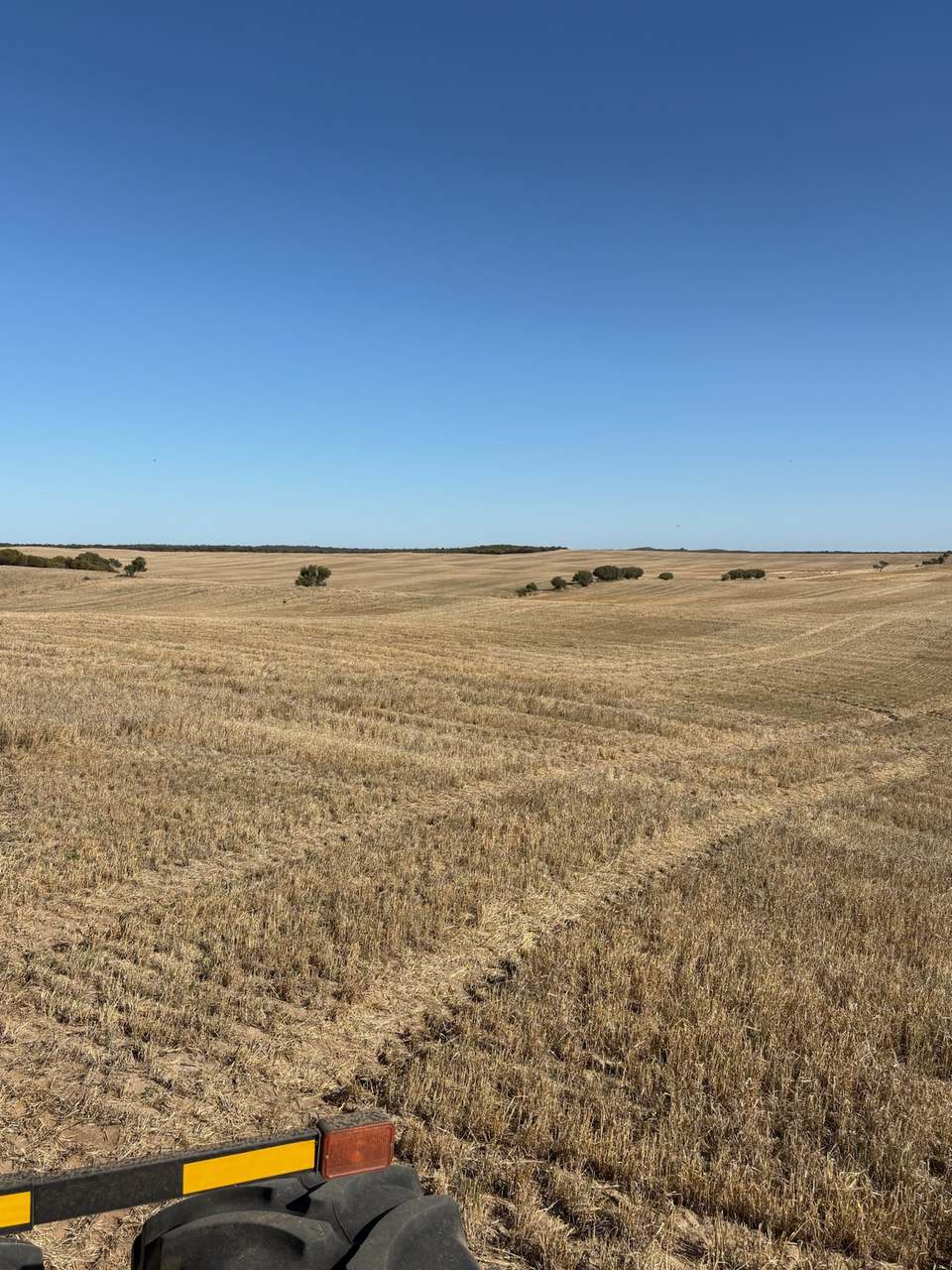 Hiscock's / O'Dea's / Zanker's Roads, NETHERBY via NHILL – WEST WIMMERA For Sale by Farmbuy.com - image 5