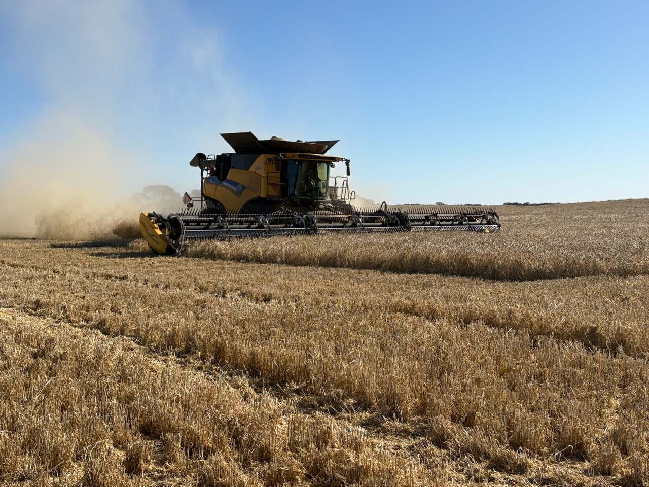 Hiscock's / O'Dea's / Zanker's Roads, NETHERBY via NHILL – WEST WIMMERA For Sale by Farmbuy.com - image 4