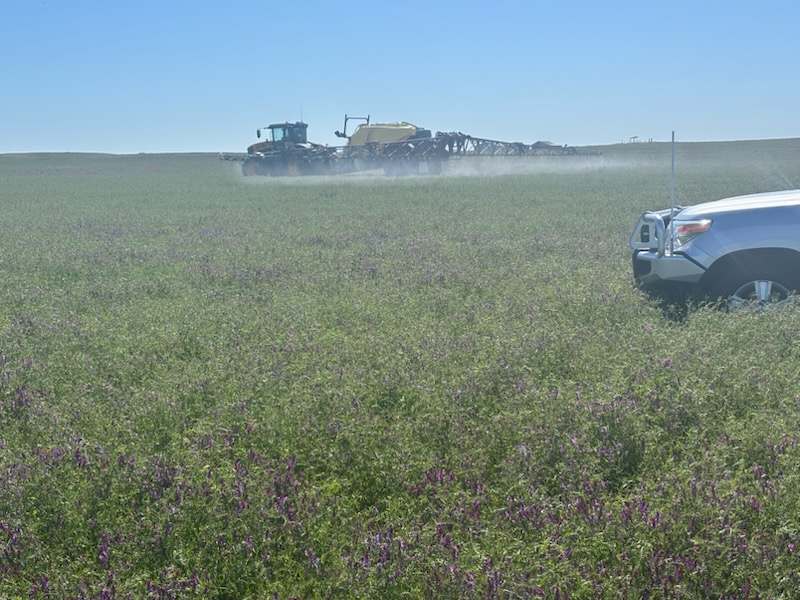 Hiscock's / O'Dea's / Zanker's Roads, NETHERBY via NHILL – WEST WIMMERA For Sale by Farmbuy.com - image 26