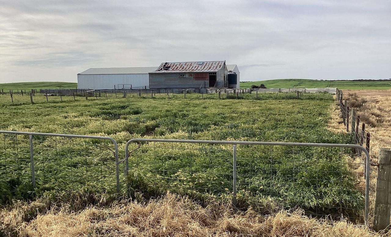 Hiscock's / O'Dea's / Zanker's Roads, NETHERBY via NHILL – WEST WIMMERA For Sale by Farmbuy.com - image 5