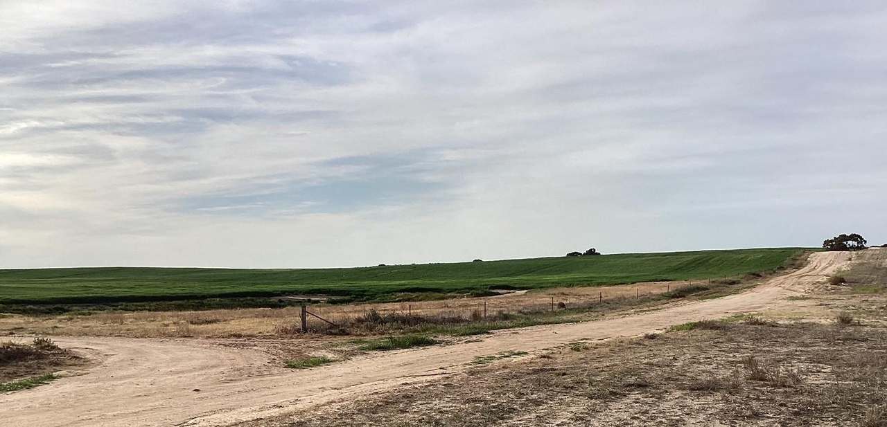 Hiscock's / O'Dea's / Zanker's Roads, NETHERBY via NHILL – WEST WIMMERA For Sale by Farmbuy.com - image 24