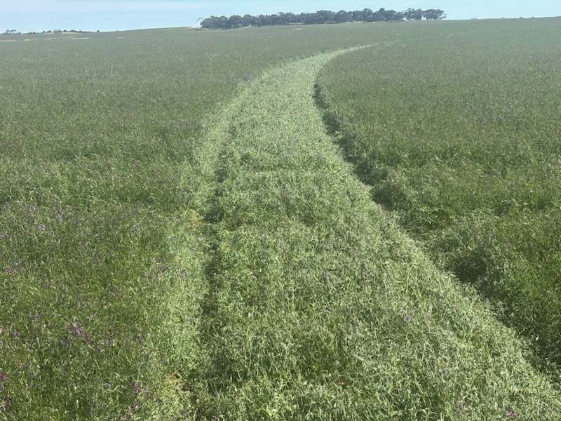 Hiscock's / O'Dea's / Zanker's Roads, NETHERBY via NHILL – WEST WIMMERA For Sale by Farmbuy.com - image 18